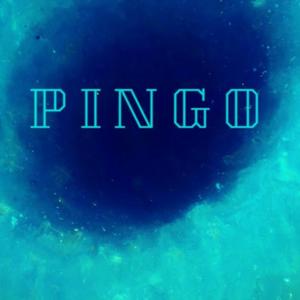Pingo