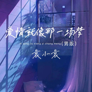 爱情就像那一场梦 (男版)