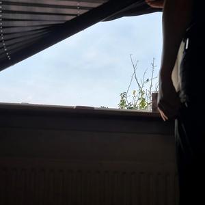 evighed (feat. Yung Friis)