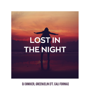 Lost in the Night (feat. Cali Fornia)