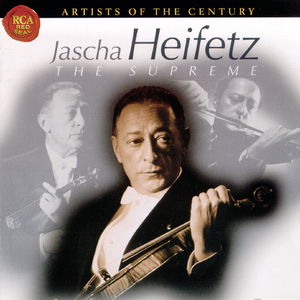 Violin Concerto, Op. 47 in D minor:Allegro moderato