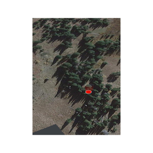 EVERYBODY (from My Life with the Walter Boys)