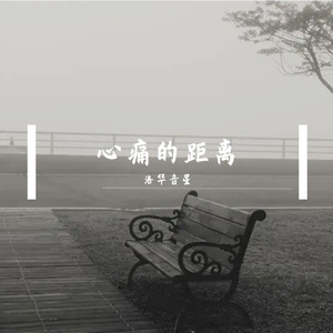 心痛的距离 伴奏