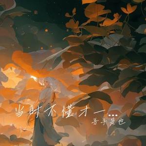 当时不懂才一笑从容