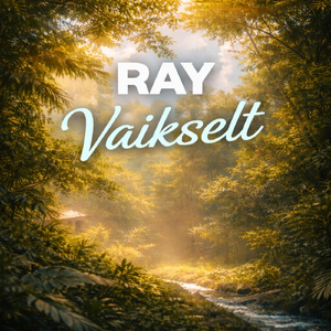 Vaikselt