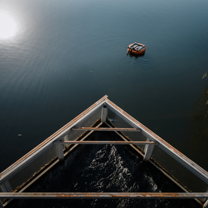 特立独行的猪（Demo）