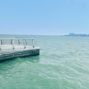 眼睛里.香柠檬版