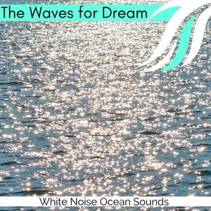 Fresh Flowers and Rain Water