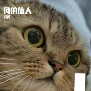 半杯牛奶的余温