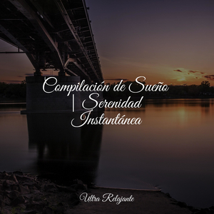 Alas De Mariposa Y Cosas