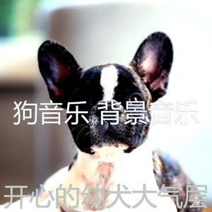 抚慰的训练你的狗回忆