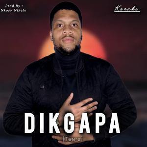 Dikgapa
