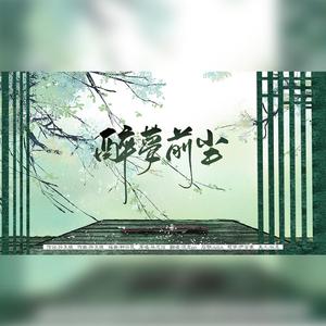 醉梦前尘（不一样的女声）（翻自 MrLi小哥）