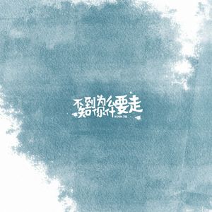 不知道你为什么会走（EVO MUSIC)