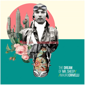 Fly Mr Sheep.... Fly