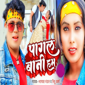 Pagal Banai Hum
