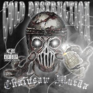 COLD DESTRUCTION (feat. FVDXDMVNE)
