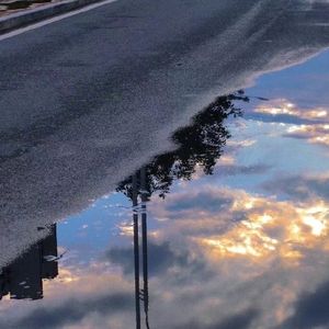 待我盛开，清风自来