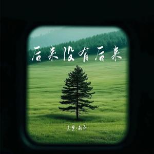 后来没有后来