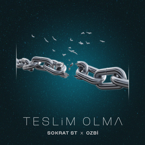 Teslim Olma