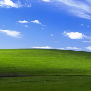 在希望的田野上