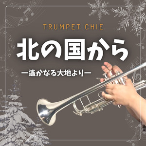 北の国から一遙かなる大地より一 (Cover)