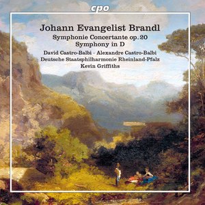 Symphony Concertante in D Major, Op. 20: III. Polonaise