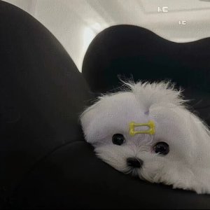 怕你知道 又怕你装不知道