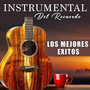 Libros Tontos ((Instrumental))