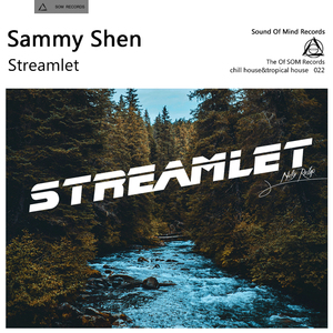 STREAMLET