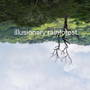 illusionary rainforest (霖)