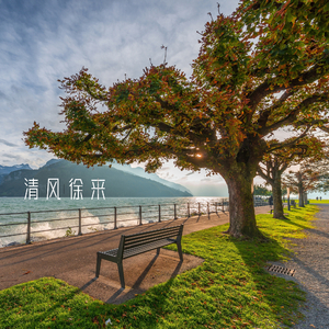 清风徐来 (古琴)