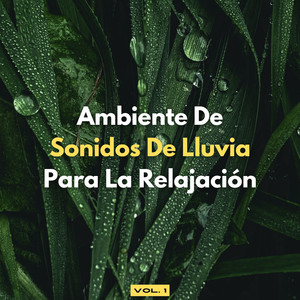 Ayuda Natural Para Dormir Con Lluvia Y Truenos