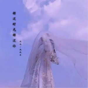 错过时光错过你