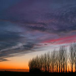 那拉提的养蜂女（翻自 库妮珂）