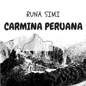 El Pajizal De La Puna