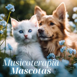 Ritmo de la Naturaleza