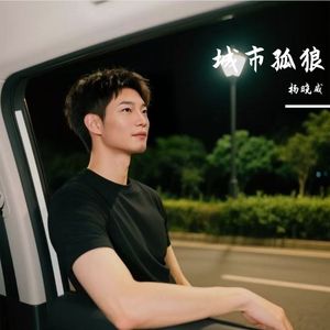 城市孤狼