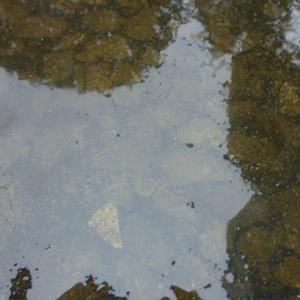 Drumdrops