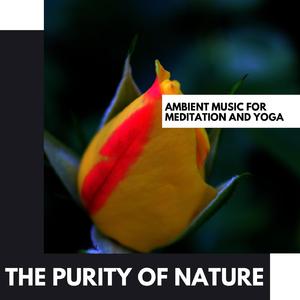 Spiritual Purification