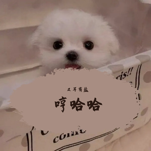 登科