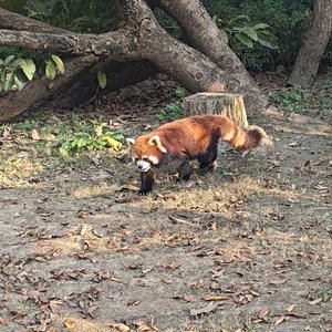 爱错了人像穿错鞋
