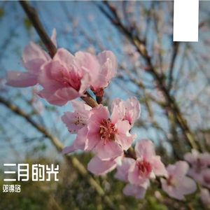 三月的光 伴奏