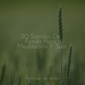 El Santuario Envolvente de la Soledad