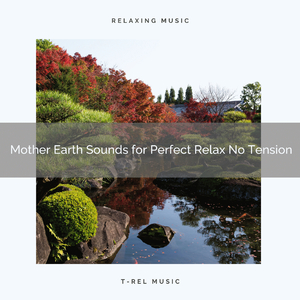 Nature Music for Lovely Naps and Stress Relief