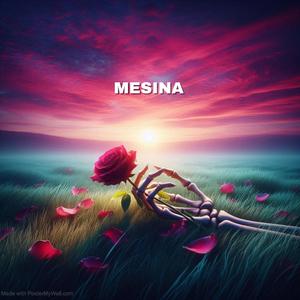 MESINA