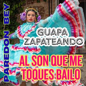 AL SON QUE ME TOQUES BAILO