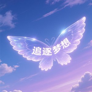 逐梦的翅膀