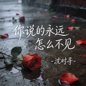 你说的永远怎么不见