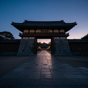 羅生門の影 〜光と影のはざまで〜